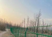 框架護(hù)欄網(wǎng)為什么經(jīng)常做成1.8米高?